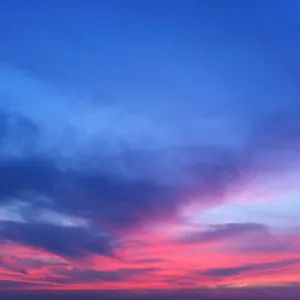51 , Zandvoort Nederland